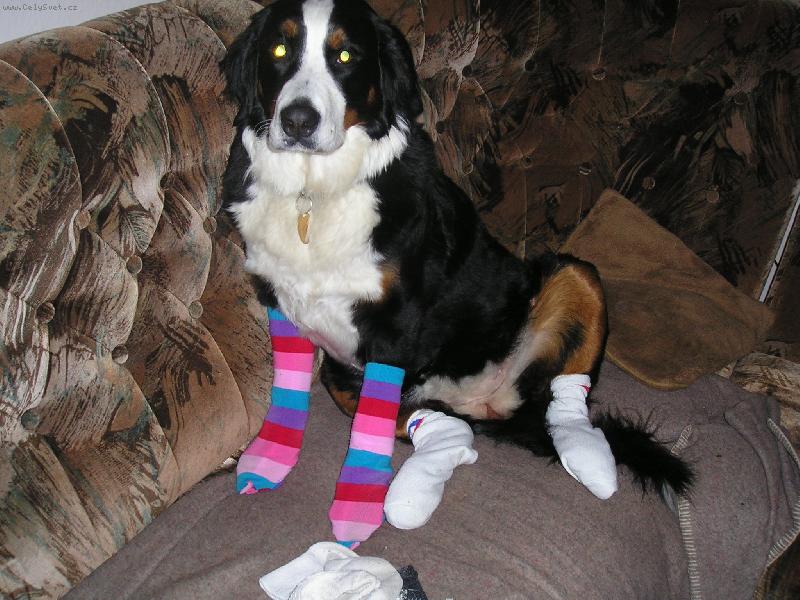 Foto: Na�e S�ra nev� co by-A pak kde m�m pono�ky