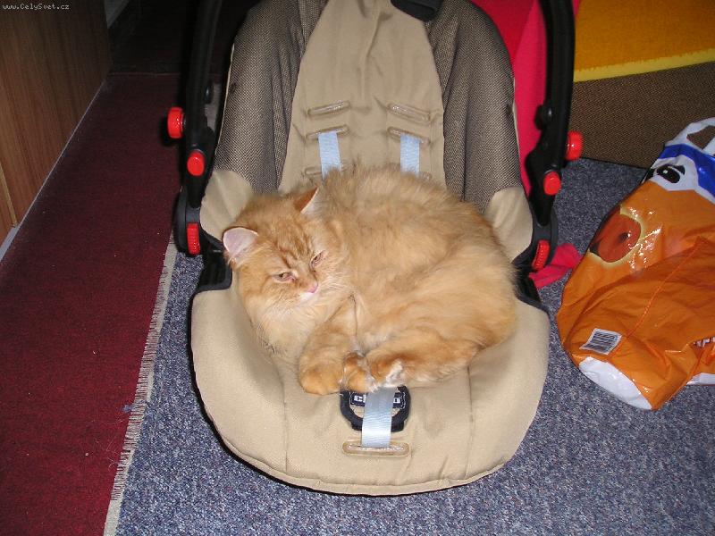 Foto: Arthure to je pro miminko-Pojedeme na v�let