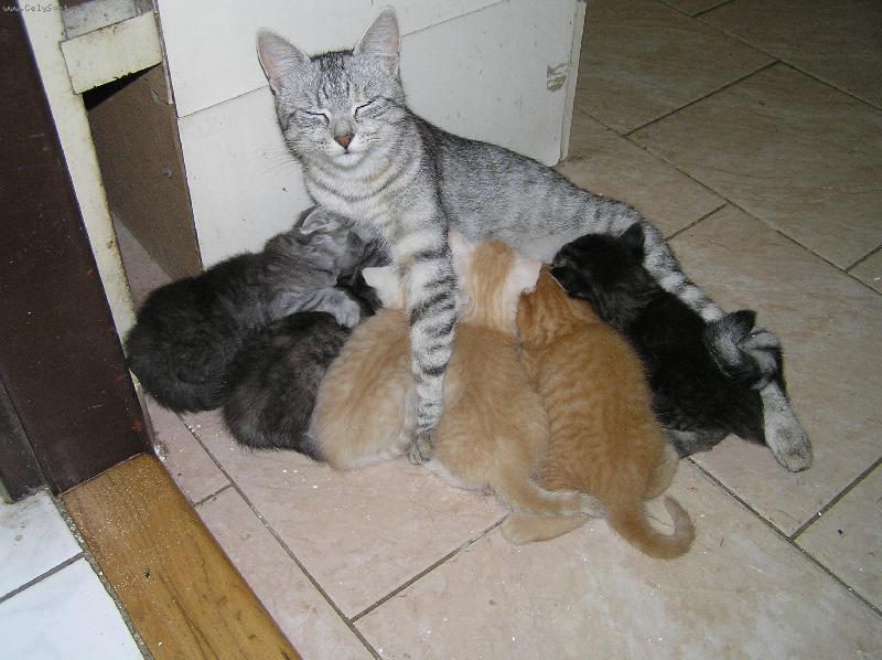 Foto: Ach jo,m�m j� to �ivot-Na�e Moly a jej� 6 d�t�