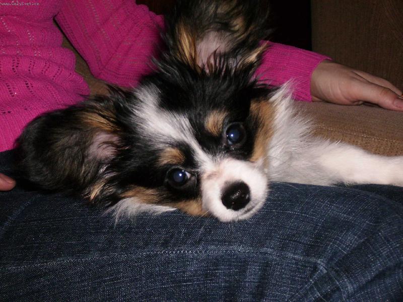 Foto: Denny odpo�inek-Jsem mooc unaven� - u pani�ky je nejl�p