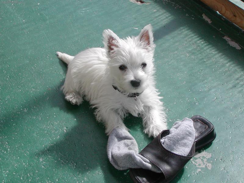 Foto: Boty m�m r�da =)-Ahoj j� jsem Ka�enka =)