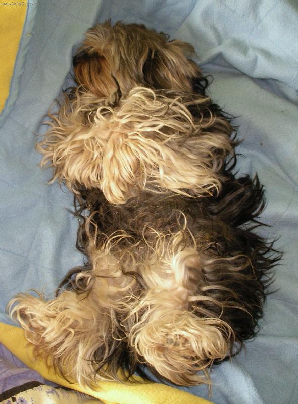 Foto: Sp��-�asto chr�pe!