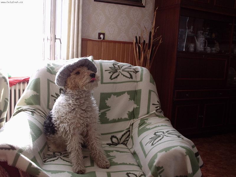 Foto: krasavec-n� Time�ek s �epic�,kterou ukrad babi�ce