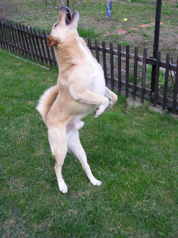 Foto: Slun��ko, slun��ko, popojdi mail�ko,...-Zp�vaj�c� Jonat�nek