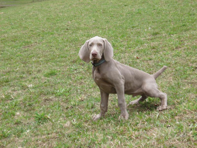 Foto: archik se ven��