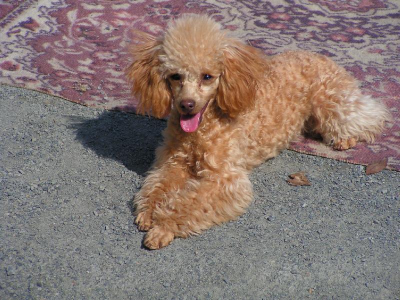 Foto: Jednou ze m� bude modelka,to si pi�te!