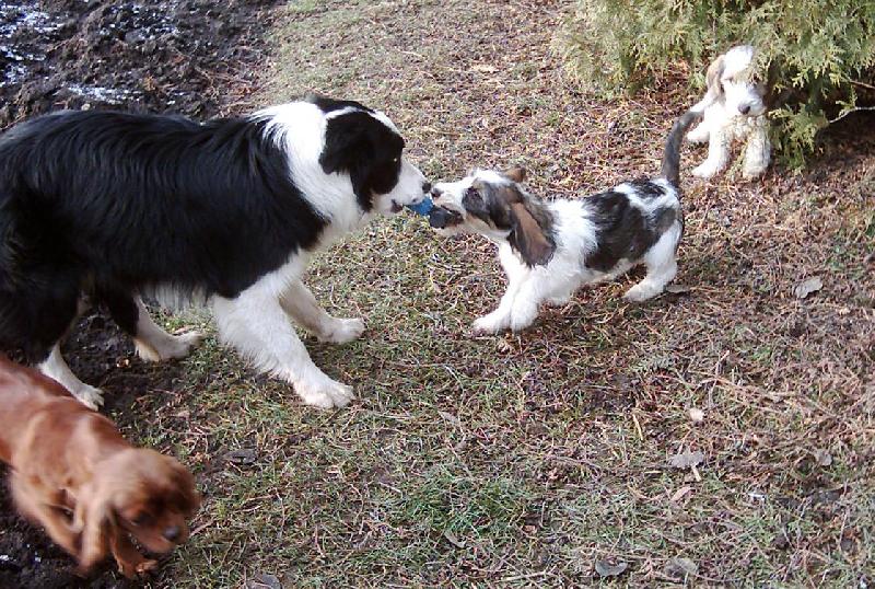 Foto: P�etahovan�-Dej sem tu hra�ku,j� se T� neboj�m !