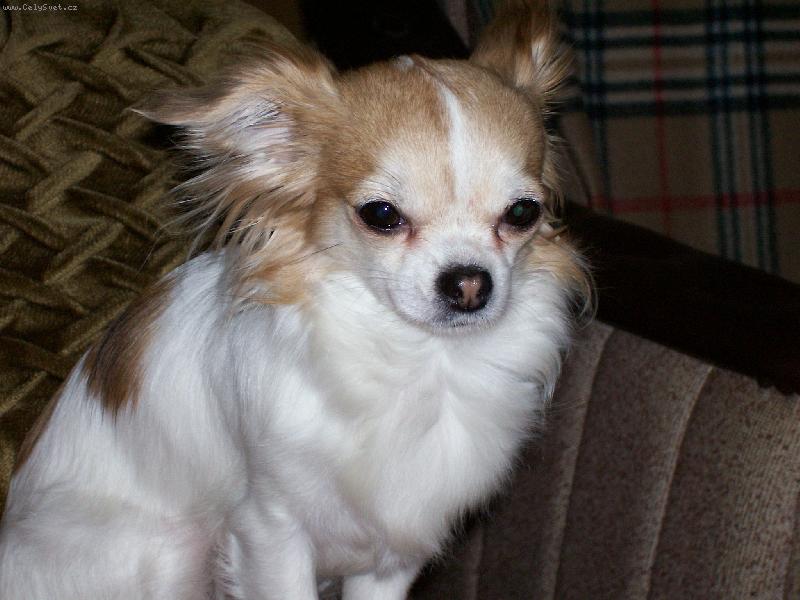 Foto: Tak u� m� vyfo�, chce se mi sp�t!