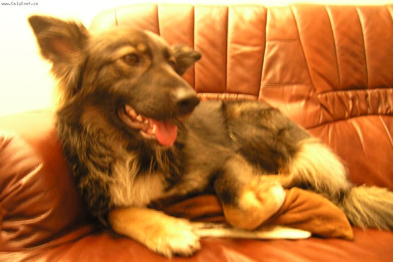 Foto: Eli�ka von Chrastavec