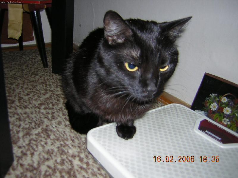 Foto: p�ibral jsem?