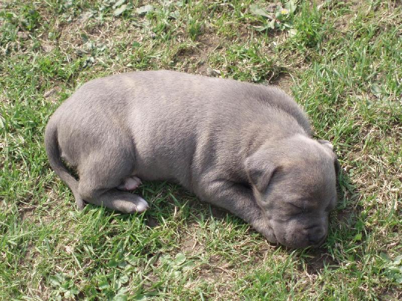 Foto: M�j mal� pi�kotek-Tak te� m� nevzbud� nic, ani kdyby padaly bomby...