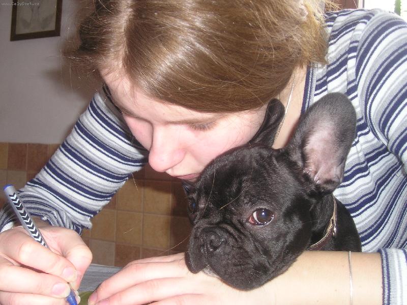 Foto: U��me se k maturit�-p�lro�ni fr.buldo�ek s pani�kou - maturantkou