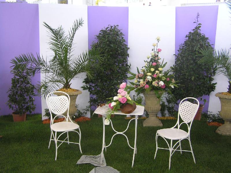 Foto: kv�tinov� r�j-Ol 2006