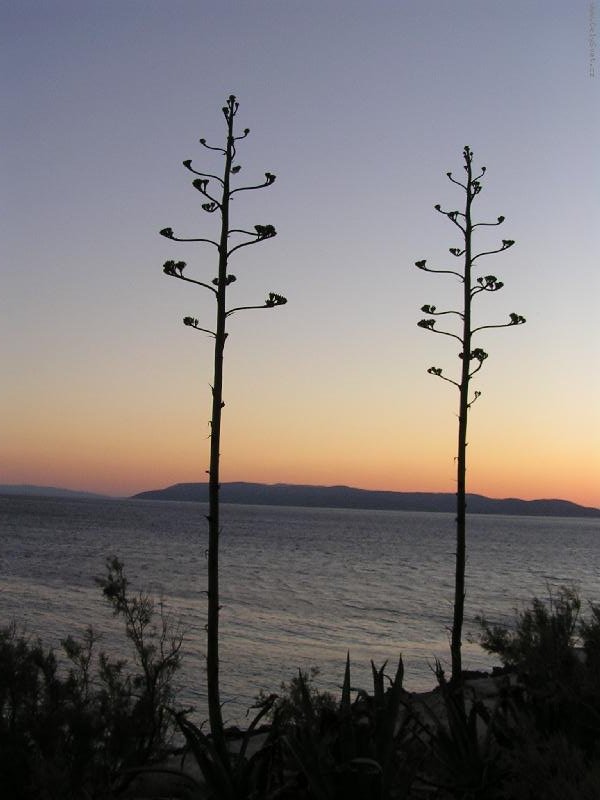 Foto: z�pad slunce