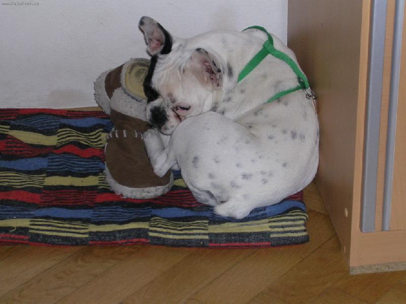 Foto: PEPINA-a takhle us�n�m