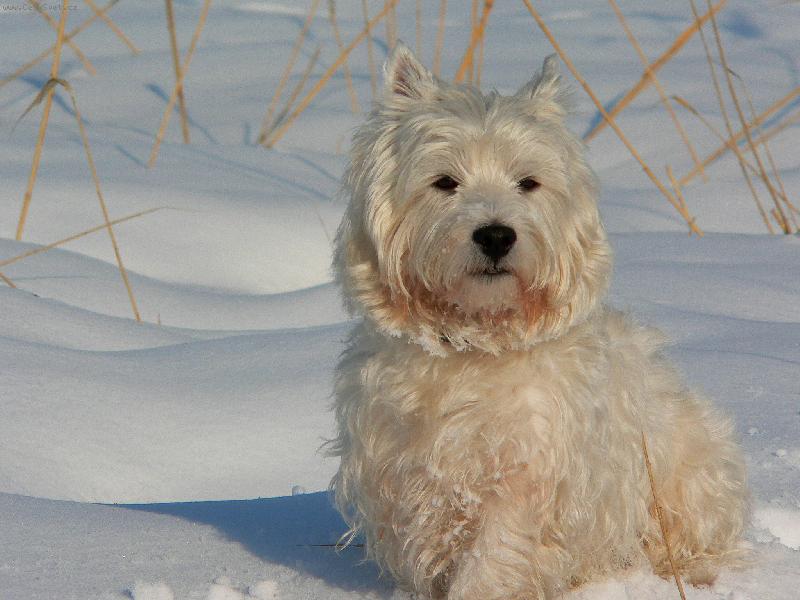 Foto: Kuku-Zima a j� venku