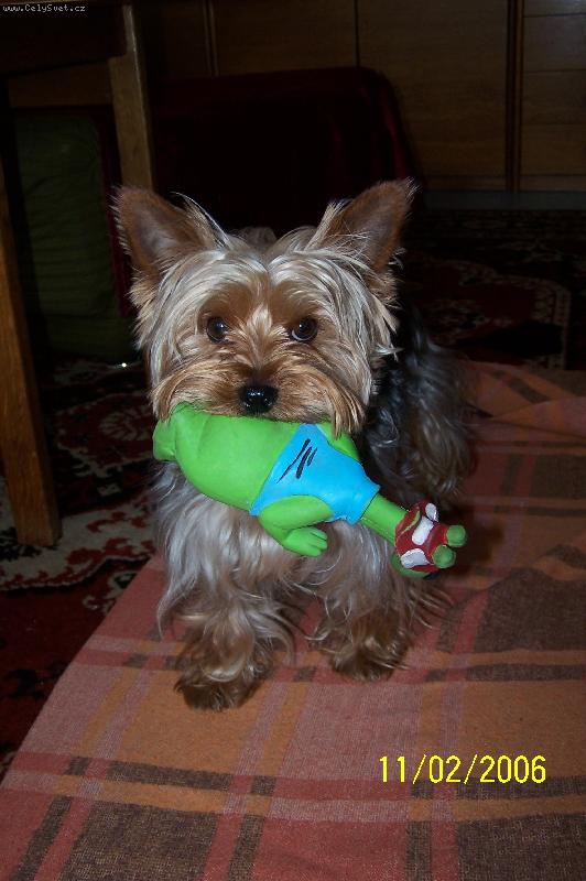 Foto: Na�e miminko si chce hr�t :))-"Kdy� nahod�m tenhle sladk� kuku�,tak na mamku s ta�kou to v�dycky zabere:)"