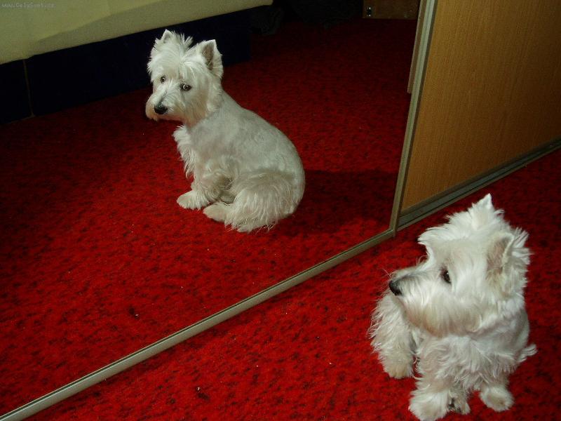 Foto: to jsem ale fe��k