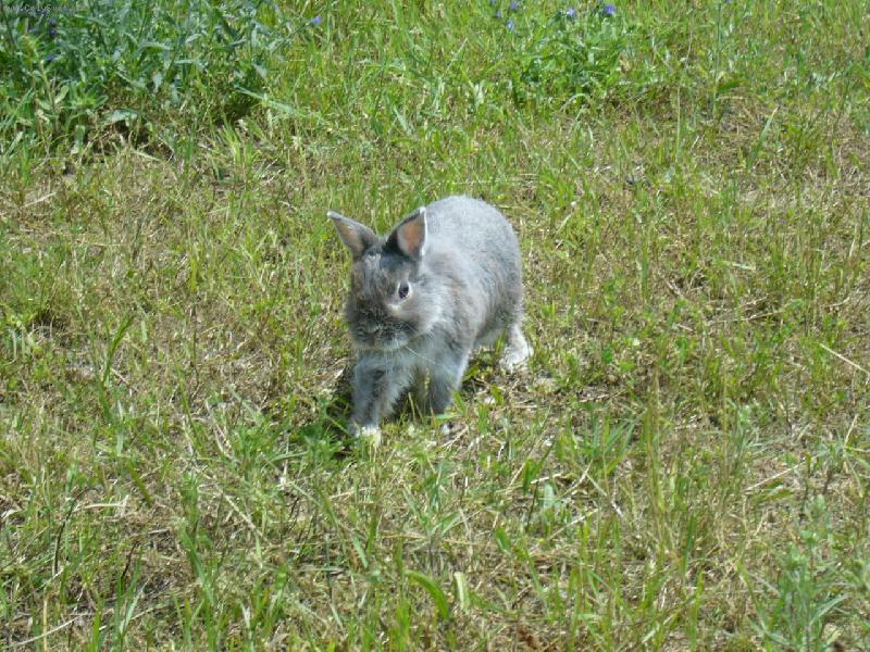 Foto: Ferd�ek :)-Kr�sn� kr�l��ek