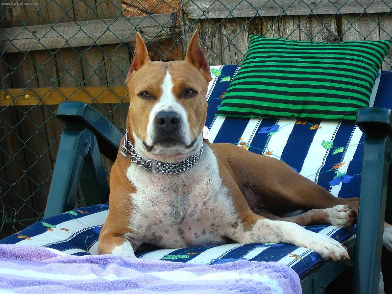 Foto: Madam DONA-D�lala obli�eje a p�zy jen abych j� fotil