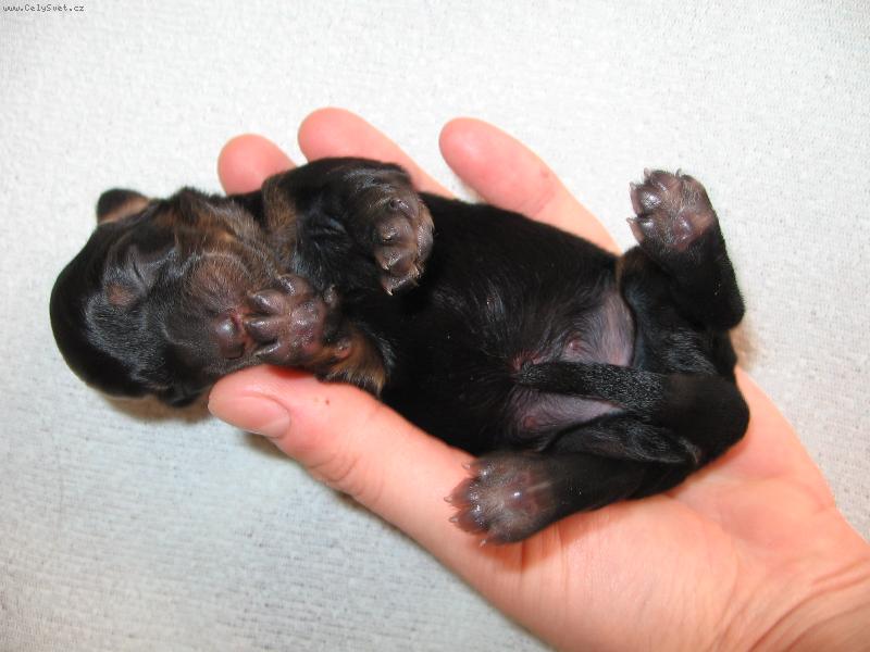 Foto: �erstv� vykluban�