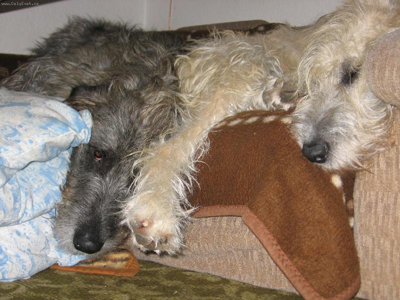 Foto: Leh�ro-Leh�ro