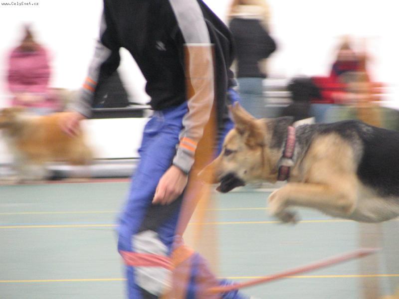 Foto: hopl�-agility