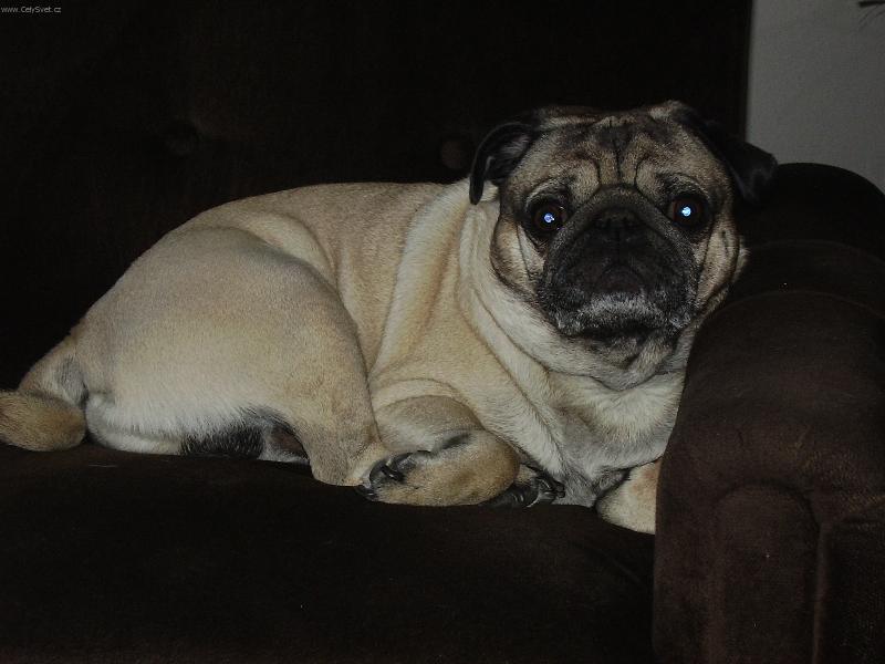 Foto: HAJ�-ODPO�INEK