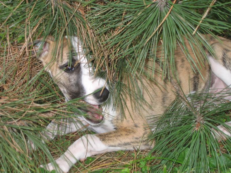 Foto: Najde m� nebo nenajde-Odpoledn� hr�dky na zahrad�