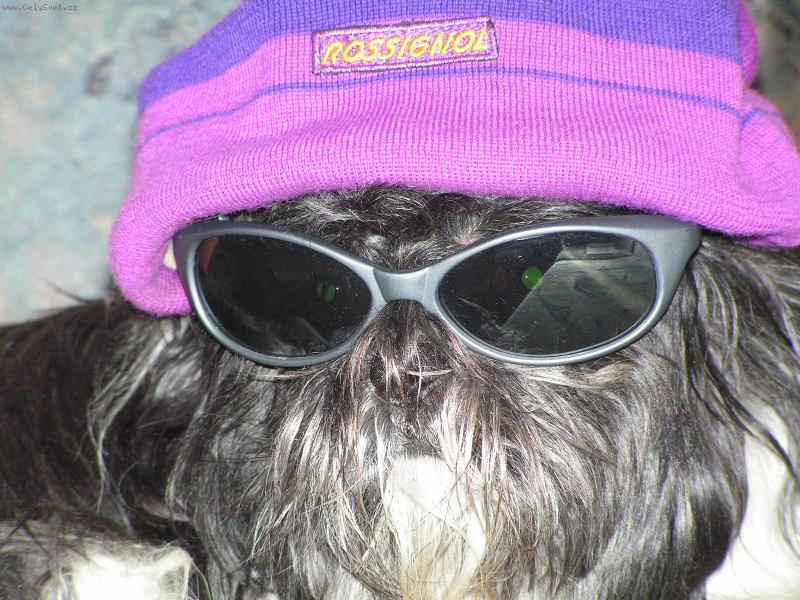 Foto: Pohoda-Ben�k s br�lemi proti slunci a kulicem na ly�ov�n�