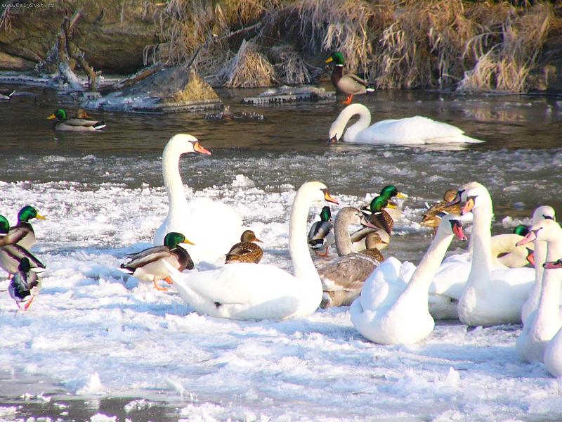 Foto: PTA�� SN�M