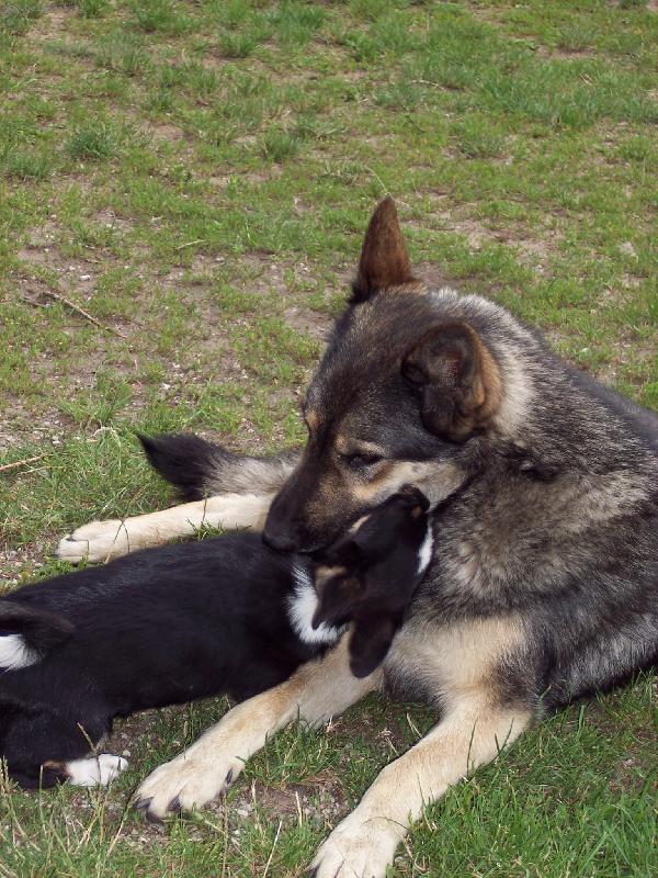 Foto: Ad�lka a Bellynka