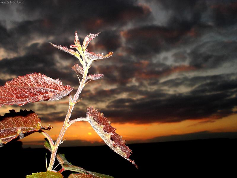 Foto: Mocn� a tajupln�...