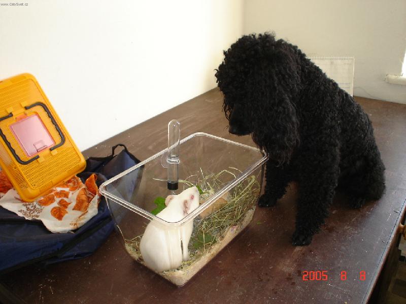 Foto: Tom�k+Julinka-hmm...co to m��e b�t?