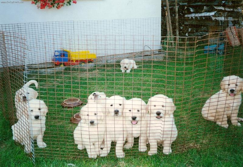 Foto: Bret��ek mezi sourozenci-Tak, kter�pak jse�?