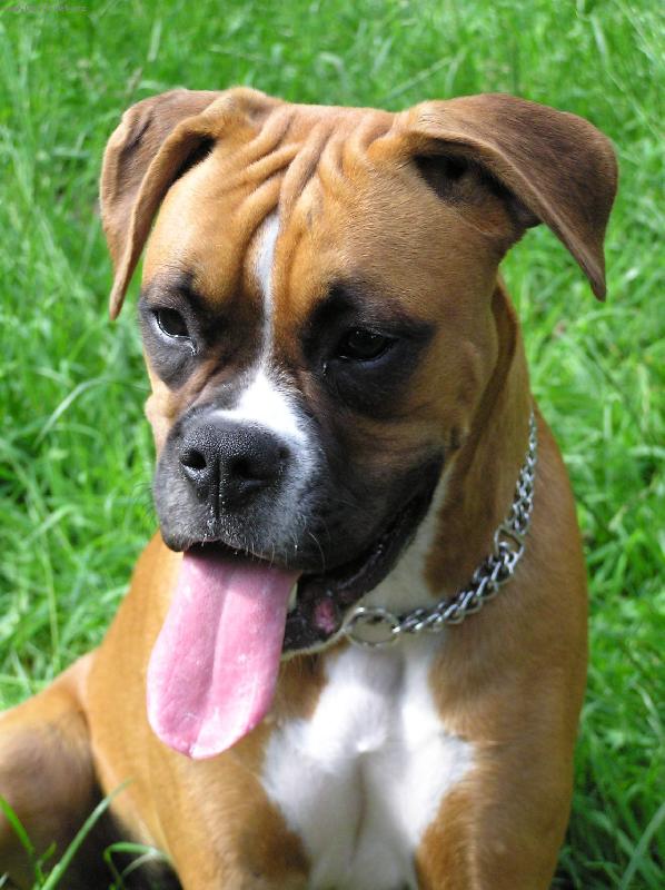 Foto: Aeminka-V l�t� mi bylo velmi horko