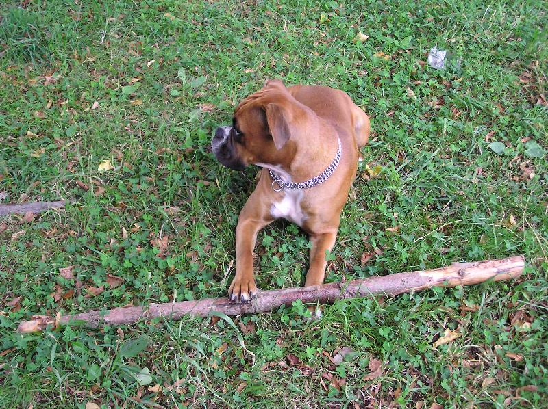 Foto: Aeminka-Ejmi, p�ines klac��ek