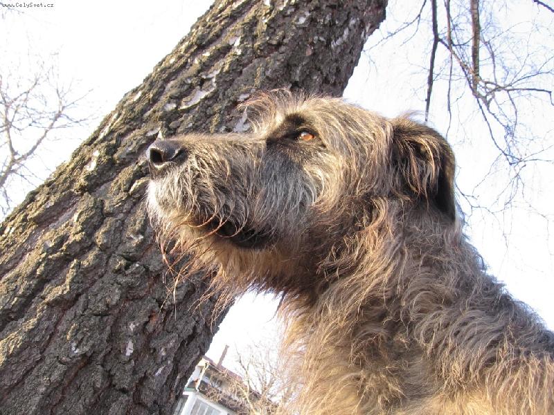 Foto: Pozorov�n�-Pozorov�n�