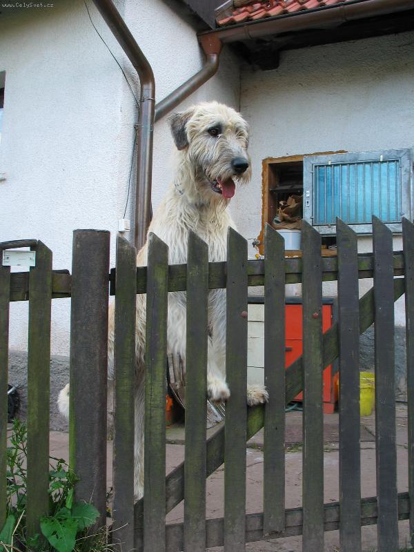 Foto: Vyhl�en�-Vyhl�en�