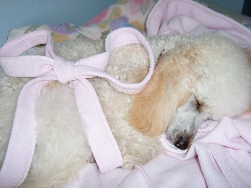 Foto: nejhez�� d�re�ek