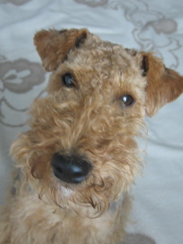 Foto: fe��k-tak co pozn�v�te m�?to jsem j� Bert�k.pr�v� jsem p�i�el od kade�n�ka!