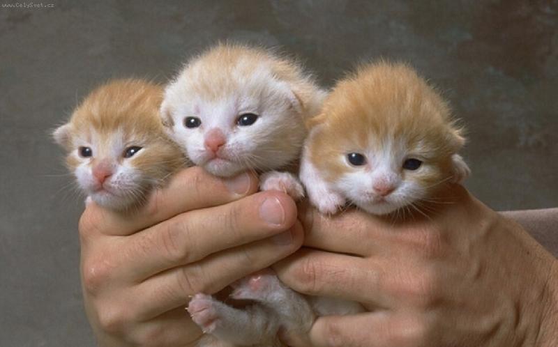 Foto: Prvn� pohled na sv�t