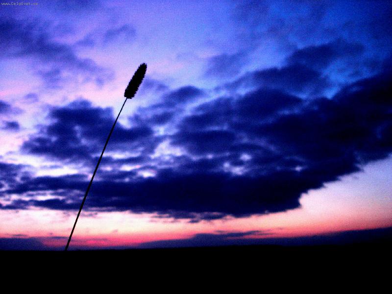 Foto: Barvy krajiny...