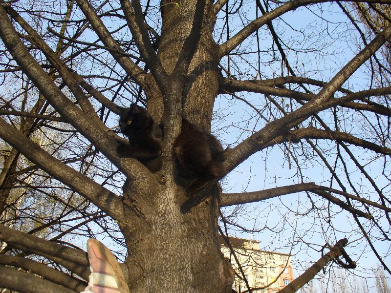 Foto: Mike�-Pane�ku! To v�m je rozhled!