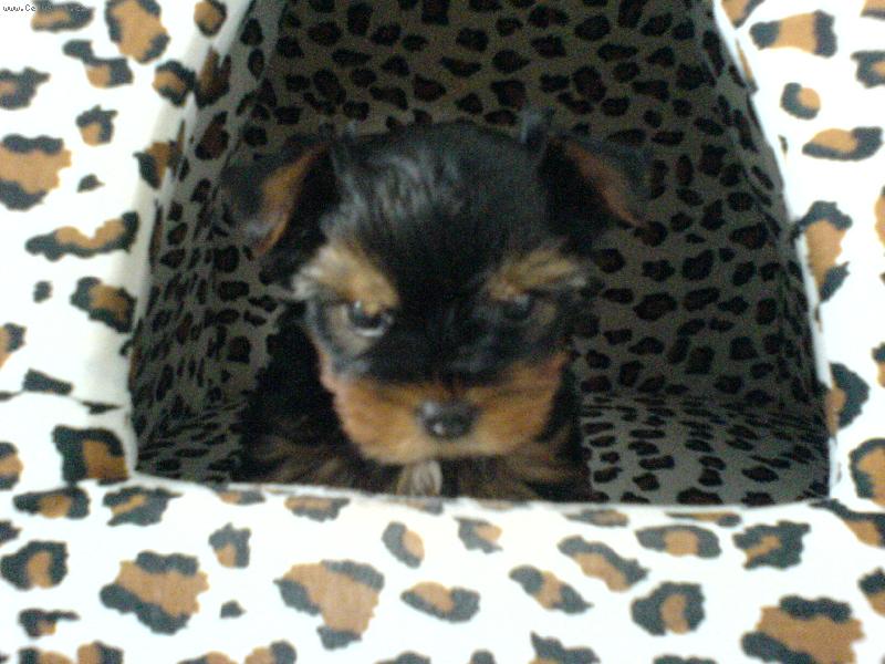 Foto: Speedy-To je kuli��ckej pohled . . .