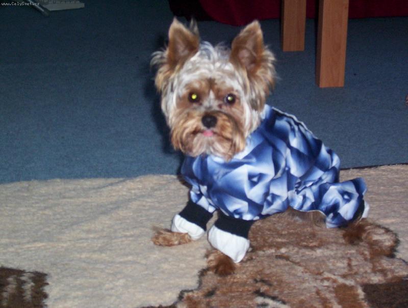 Foto: To m� za to,�e m� fot�!!!!-Tak to je n� Badynka...