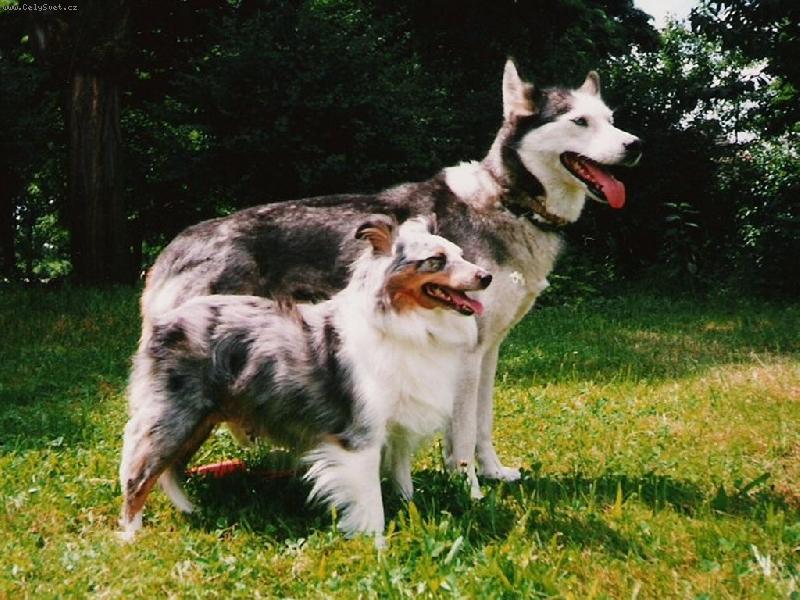 Foto: P��TELKYN�-T�ME� SPLYNUT�