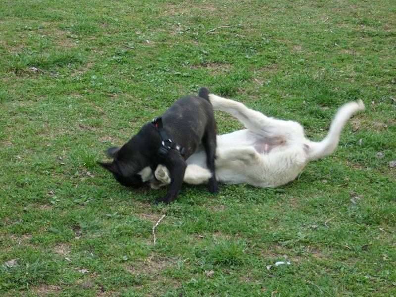 Foto: J� ti d�m,troufat si na men��ho!