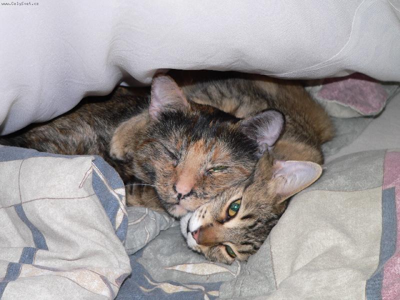 Foto: Neru�it !! My tady haj�..