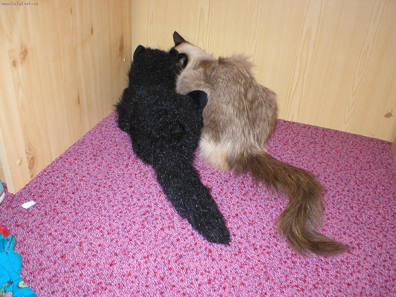 Foto: Henrieta-Neru�it soukrom� rozhovor!!!!!!!!!!